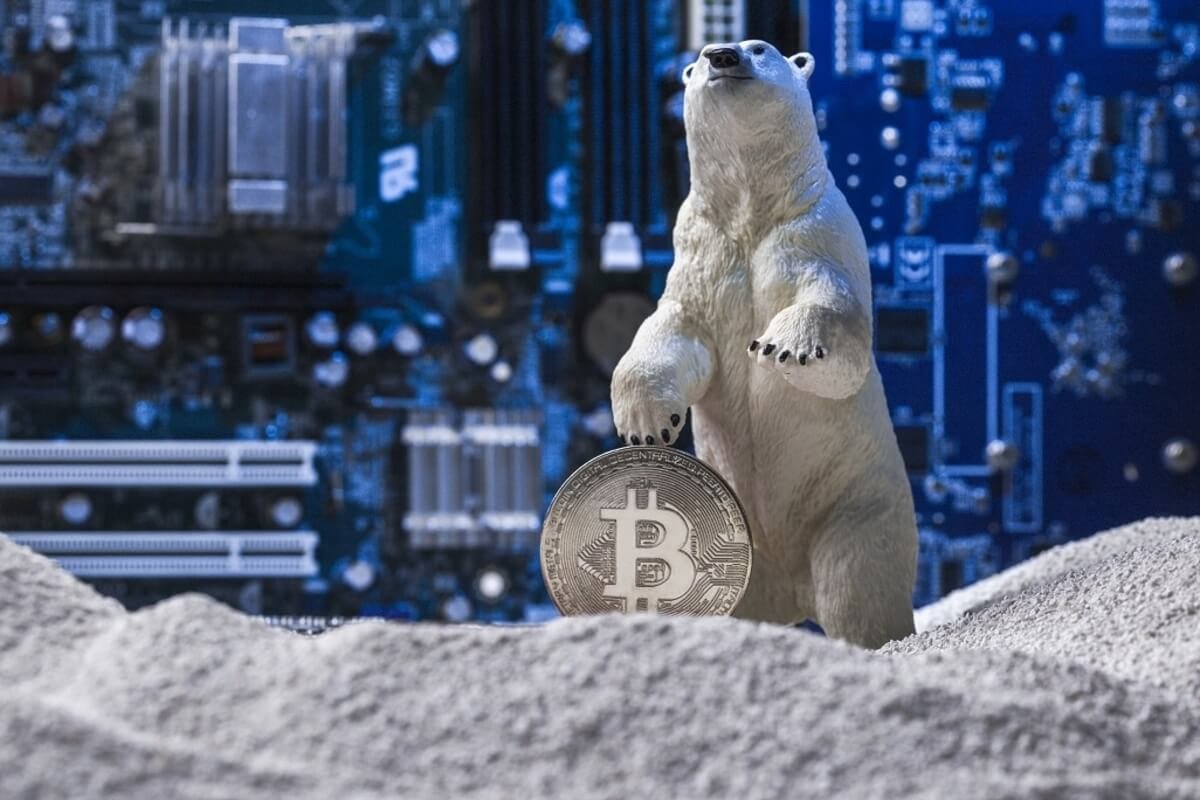 Another Crypto Winter Or a New Dawn for NFTs – Industry Insiders Share More 2022 Predictions